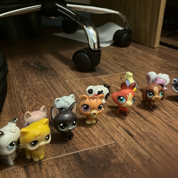 12 piece Littlest pet shop lot - Picture 2 of 2